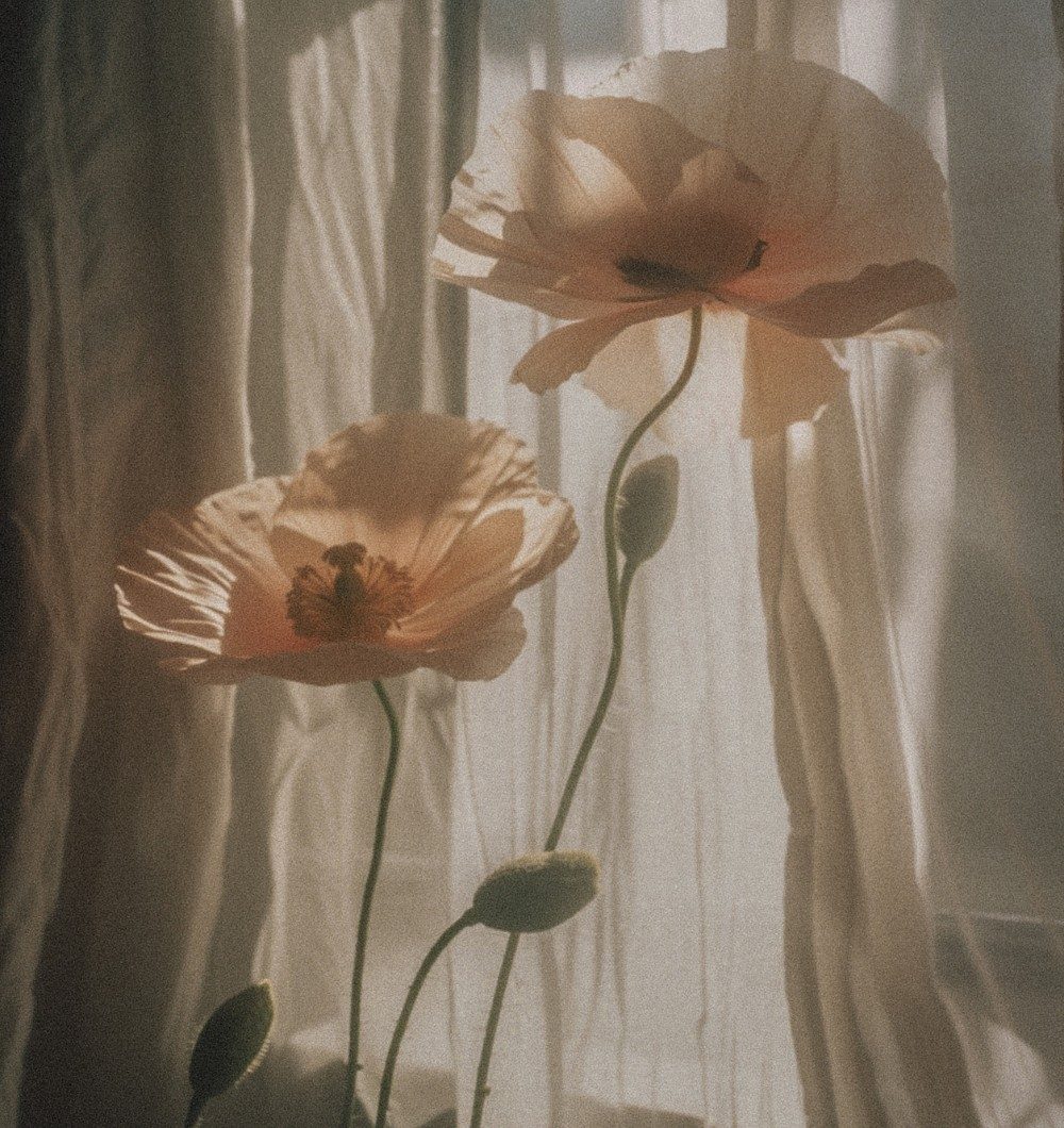 Elisa-home-images4.jpg