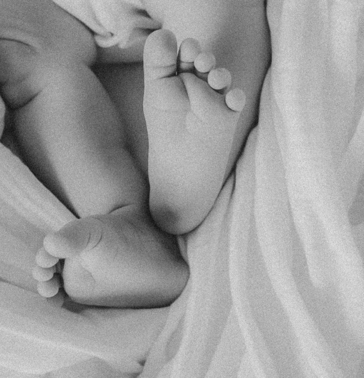 Elisa-services-images.jpg
